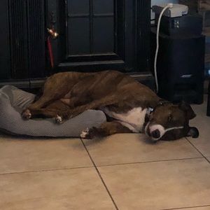 Meet your Posher, Vicky